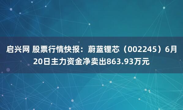 启兴网 股票行情快报：蔚蓝锂芯（002245）6月20日主力资金净卖出863.93万元
