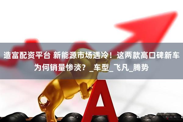 造富配资平台 新能源市场遇冷！这两款高口碑新车为何销量惨淡？_车型_飞凡_腾势
