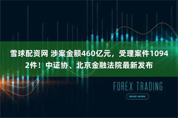 雪球配资网 涉案金额460亿元，受理案件10942件！中证协、北京金融法院最新发布