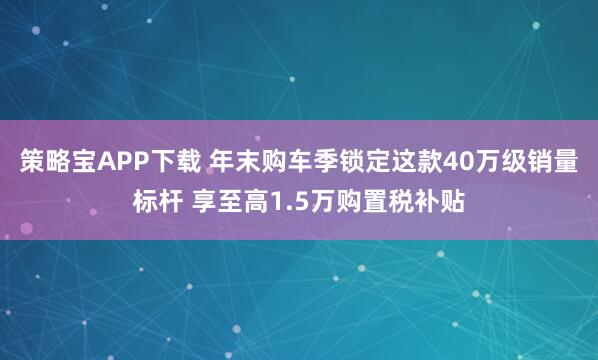 策略宝APP下载 年末购车季锁定这款40万级销量标杆 享至高1.5万购置税补贴